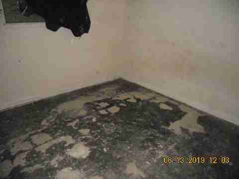 15017 Dolphin (15)_m.jpg